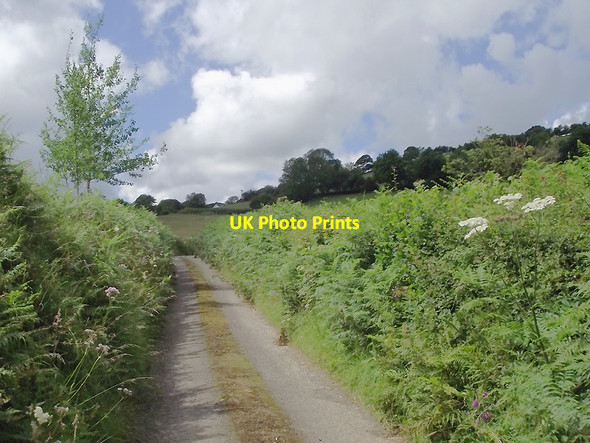 Photo 6"x4" Farm track near Llangybi, Ceredigion Betws Bledrws c2011