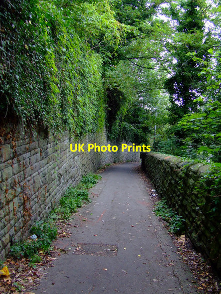 Photo 6"x4" Footpath off Bath Road Windmill Hill\/ST5971 c2011