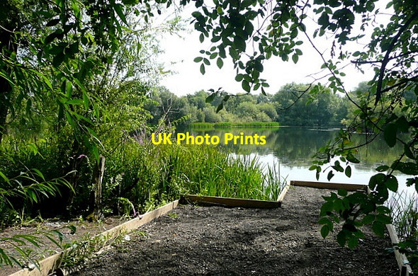 Photo 6"x4" Loddon nature reserve Twyford\/SU7975 c2011