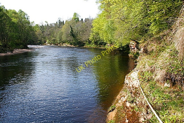 Photo 6"x4" Bog Pool Conicavel c2008