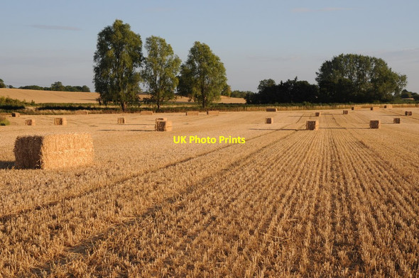 Photo 6"x4" Large square straw bales Holly Green\/SO8641 c2011