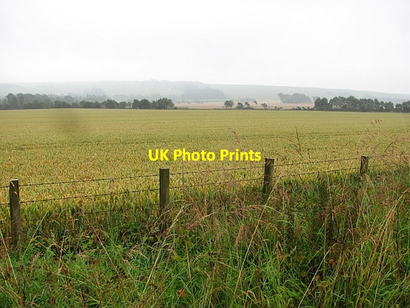 Photo 6"x4" Wheat field, Laurencekirk Laurencekirk c2011