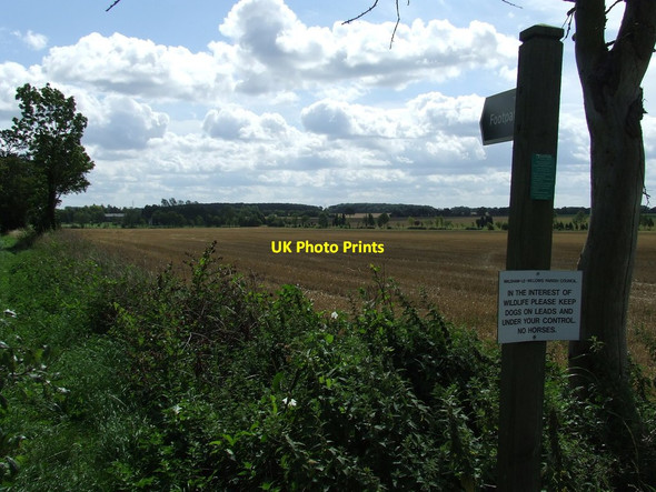 Photo 6"x4" Sunny Suffolk Crownland c2011