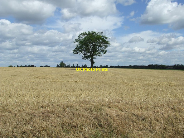 Photo 6"x4" On its own Crownland c2011