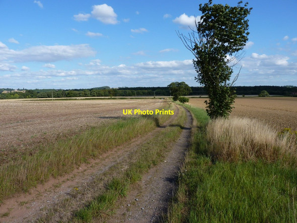 Photo 6"x4" Down the bridleway towards Chesterton Chesterton\/SO7897 c2011
