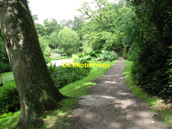 Photo 6"x4" Path in Fairhaven Water garden, South Walsham South Walsham c2011