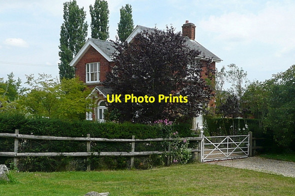 Photo 6"x4" Southbury Farm Hare Hatch c2011