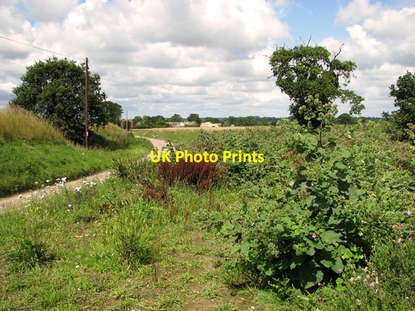 Photo 6"x4" Fields beside Church Road, Repps with Bastwick Bastwick c2011