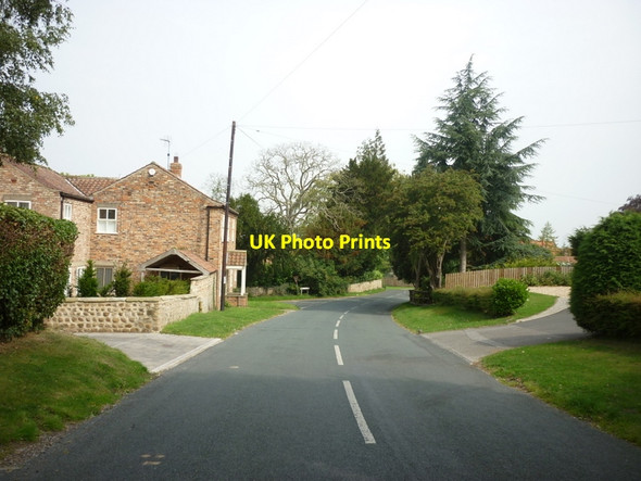 Photo 6"x4" Grafton Lane, Grafton, North Yorkshire Grafton\/SE4163 c2011