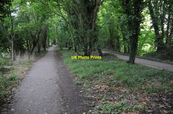 Photo 6"x4" Thames Path near Cookham Cookham c2011