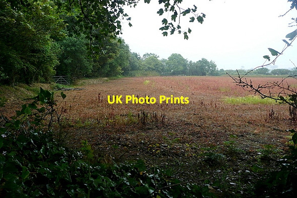 Photo 6"x4" Farmland at Rosevidney Cockwells c2011