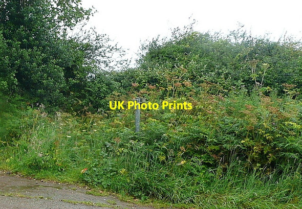 Photo 6"x4" Footpath to Arch Lane Canonstown c2011