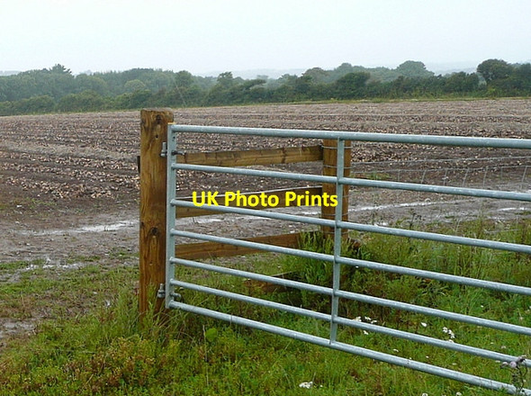 Photo 6"x4" Farmland off Tredrea Lane Canonstown c2011