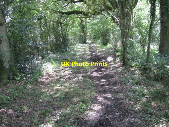 Photo 6"x4" Footpath towards Mortimers Lane Lower Upham c2011