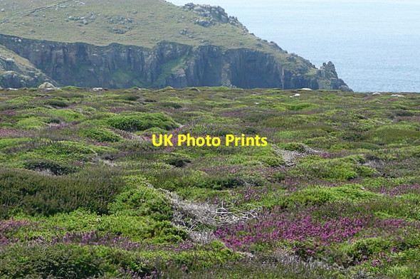 Photo 6"x4" Higher Bosistow Cliffs Trevescan c2011
