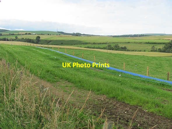 Photo 6"x4" Field by Auchenblae Auchenblae c2011