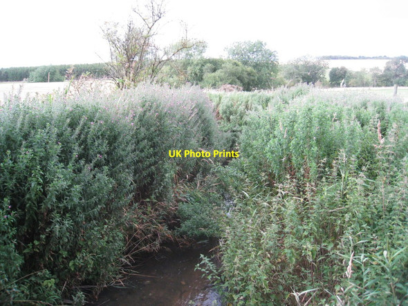 Photo 6"x4" County boundary Beelsby c2011