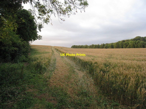 Photo 6"x4" The footpath to Beelsby Beelsby c2011