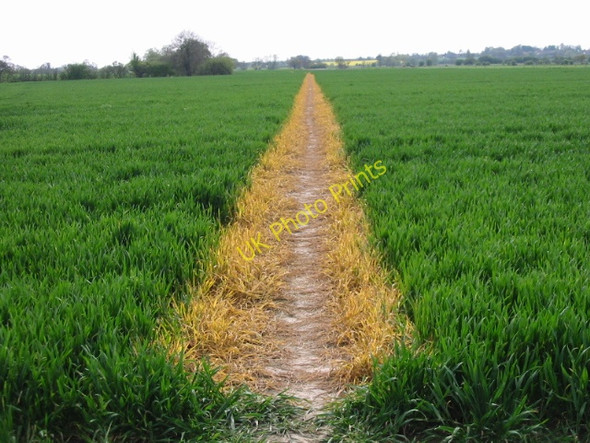 Photo 6"x4" Well defined footpath towards Ashford Naccolt c2008