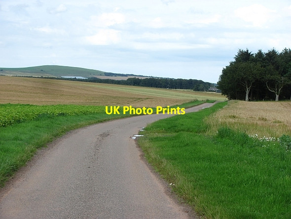 Photo 6"x4" Road past Bomershanoe Wood Fordoun c2011