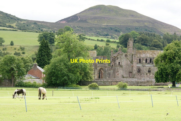 Photo 6"x4" Melrose Abbey from the north Melrose\/NT5434 c2011