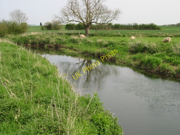 Photo 6"x4" View of the Great Stour Naccolt c2008