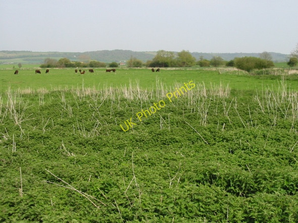 Photo 6"x4" View across the fields Naccolt c2008