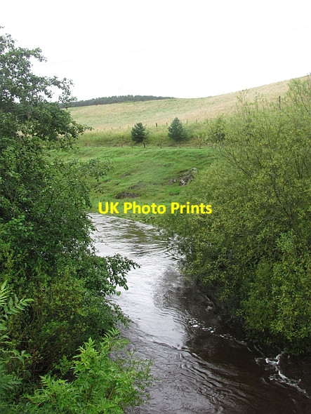 Photo 6"x4" Lyne Water Hallyne c2011 P1