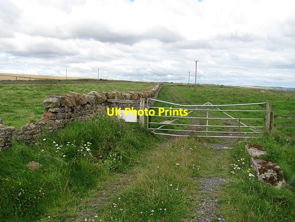 Photo 6"x4" Northumberland coast path Scremerston c2011