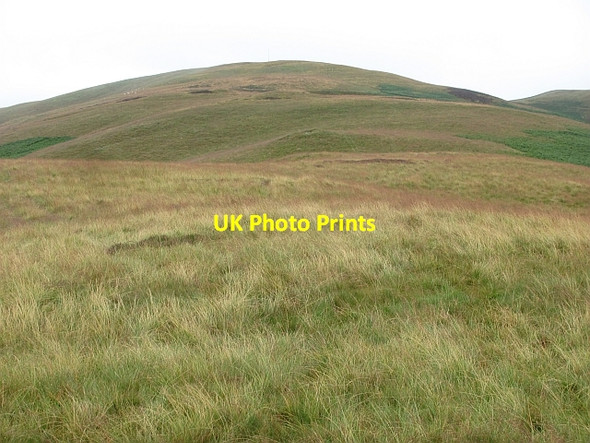 Photo 6"x4" Stevenson Hill Harehope\/NT2044 c2011