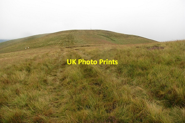 Photo 6"x4" Stevenson Hill Bordlands c2011