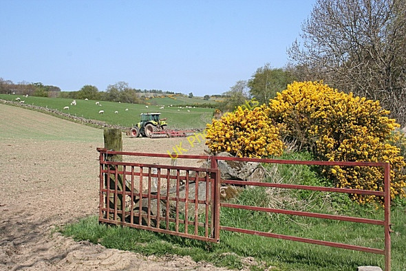 Photo 6"x4" Yonder Bognie Bogniebrae c2008