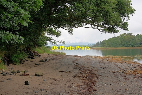 Photo 6"x4" The Shore at South Shian South Shian c2011