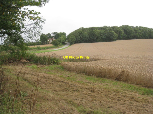 Photo 6"x4" View towards Mere Plantation and Caistor Road Barton-Upon-Humber c2011