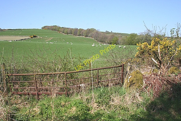 Photo 6"x4" Unnamed Hill above Yonder Bognie Bogniebrae c2008