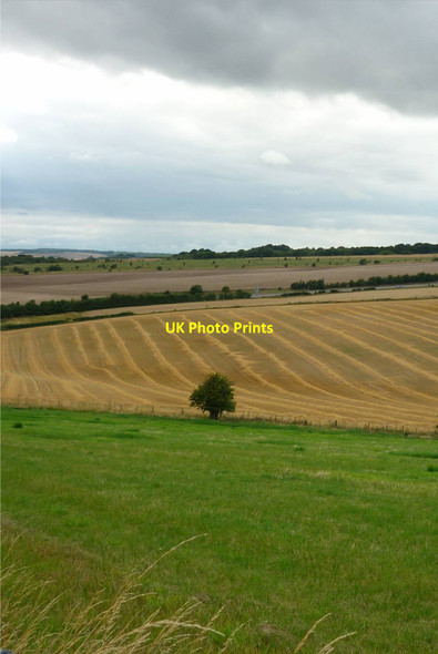 Photo 6"x4" Abingdon Lane Down East Ilsley c2011