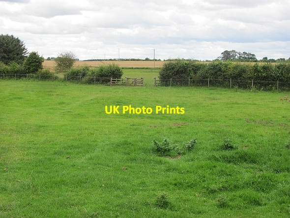 Photo 6"x4" Grassland, Windmill Hill Cheswick c2011
