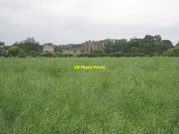 Photo 6"x4" Thornton Abbey seen across a field of oilseed rape West Field\/TA1219 c2011