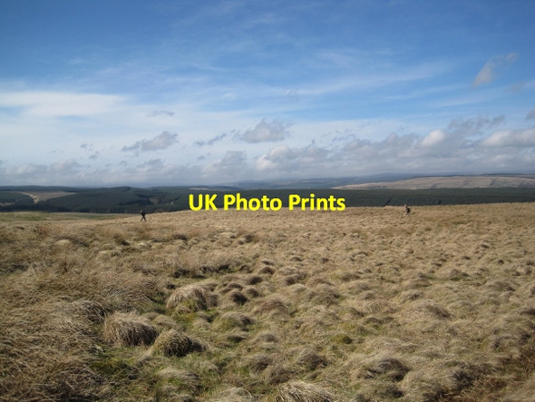 Photo 6"x4" Chirdon Moor Eal c2011