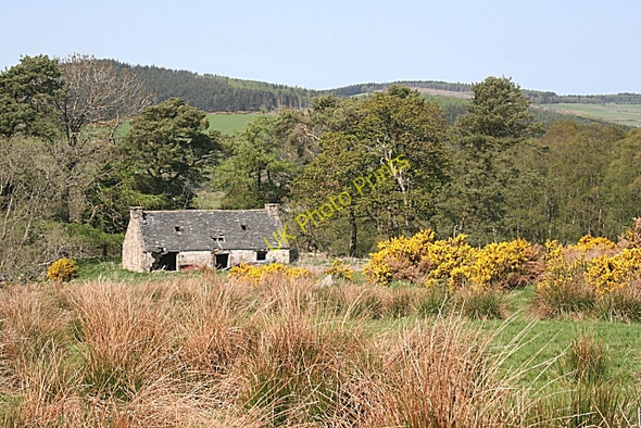 Photo 6"x4" Ruined Cottage Bogniebrae c2008