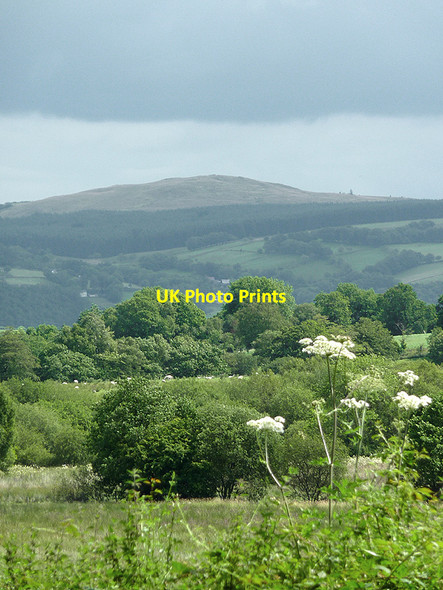 Photo 6"x4" Landscape towards the Teifi valley and Elenydd moorland, Ceredigion Llanio c2011