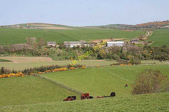 Photo 6"x4" Longhaugh Farm from near Wardwell Greenfold\/NJ6049 c2008