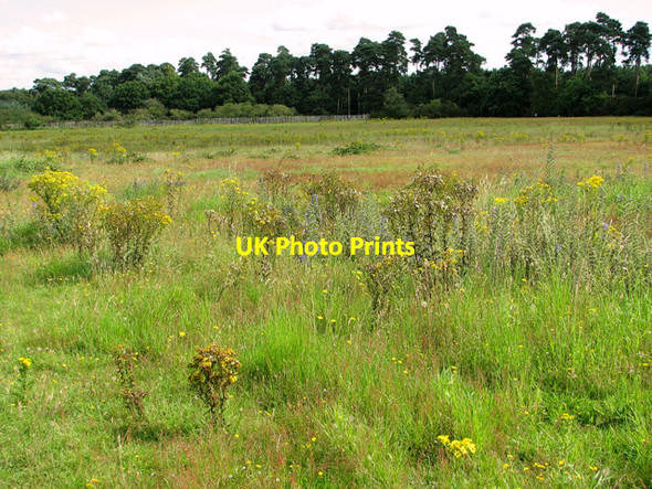 Photo 6"x4" View across the playing field, Eyke Eyke c2011