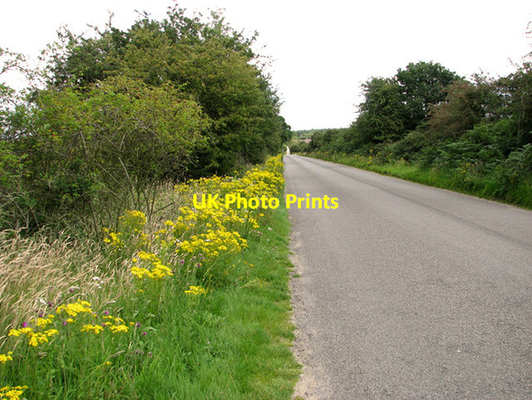 Photo 6"x4" Dunwich Road past Westleton Heath Nature Reserve Westleton c2011