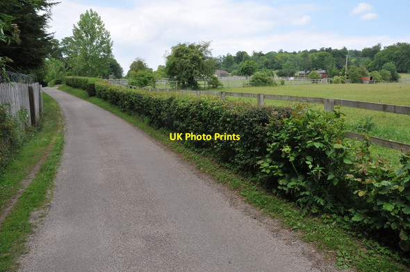 Photo 6"x4" Thames Path north of Whitchurch-on-Thames Whitchurch-on-Thames c2011
