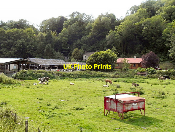 Photo 6"x4" Woodland Poultry Farm, Newbridge Pickering\/SE7984 c2011