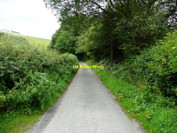 Photo 6"x4" The lane to Pentre Chapel Lawn c2011