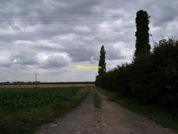 Photo 6"x4" Track to Sheath Wood North Kyme c2011