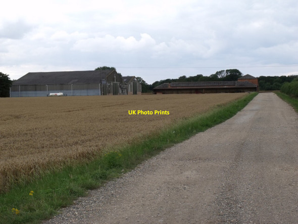 Photo 6"x4" The Harding Anwick c2011