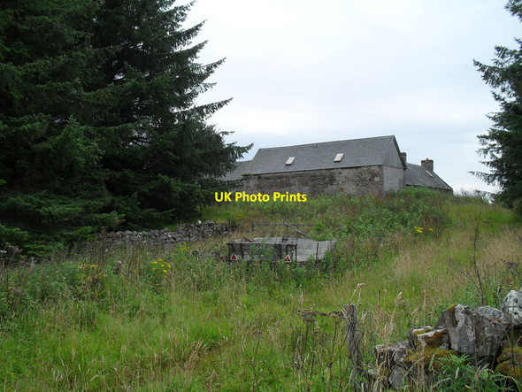 Photo 6"x4" Over grown Trentham Skelbo Muir c2011